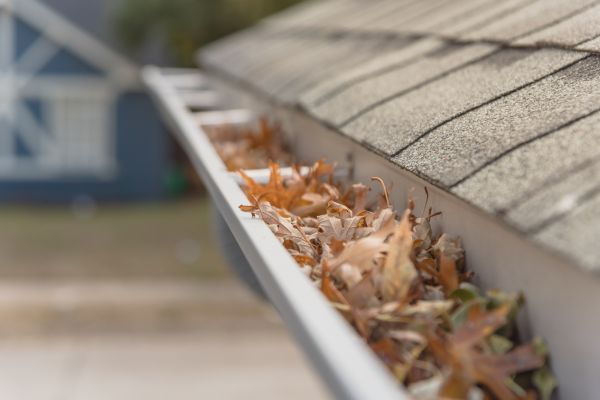 Leaf Barrier Installation in Gaffney